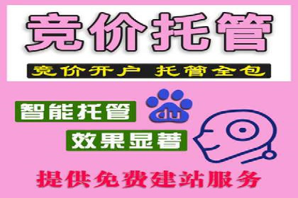竞价广告的秘密武器：SEM推广的五大成功案例
